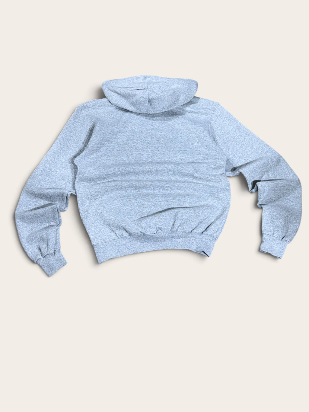 Vue de dos uni du sweat Champion gris chiné à capuche.